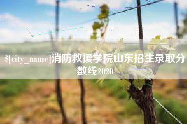 开平消防救援学院山东招生录取分数线2020