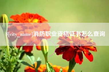 开平消防职业资格证书怎么查询