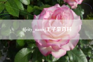 开平王子豪百科