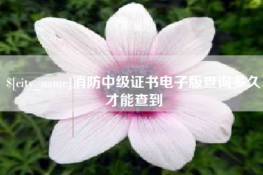 开平消防中级证书电子版查询多久才能查到
