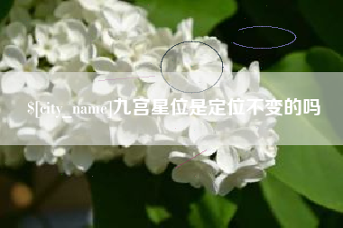 开平九宫星位是定位不变的吗