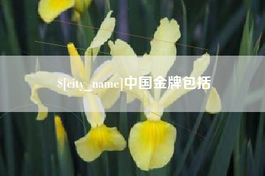 开平中国金牌包括