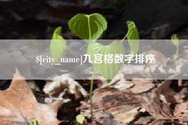 开平九宫格数字排序
