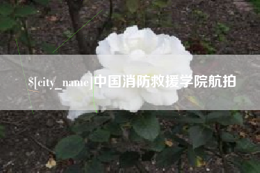 开平中国消防救援学院航拍