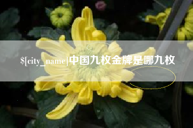 开平中国九枚金牌是哪九枚
