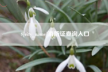 开平消防证查询入口