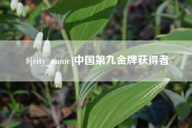 开平中国第九金牌获得者