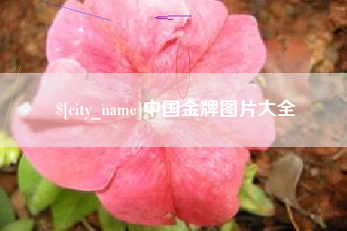 开平中国金牌图片大全