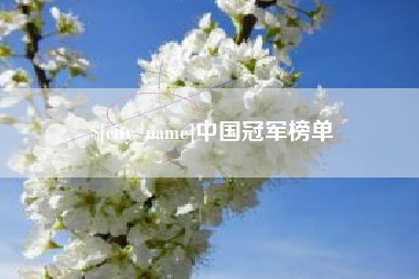 开平中国冠军榜单