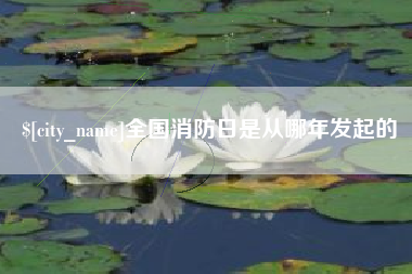 开平全国消防日是从哪年发起的
