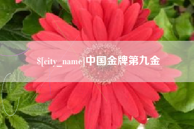 开平中国金牌第九金