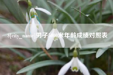 开平男子5000米年龄成绩对照表