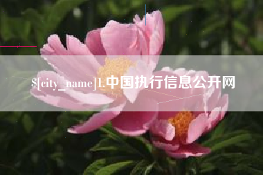 开平1.中国执行信息公开网