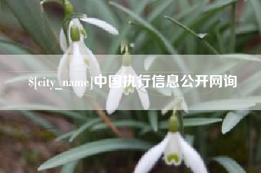 开平中国执行信息公开网询