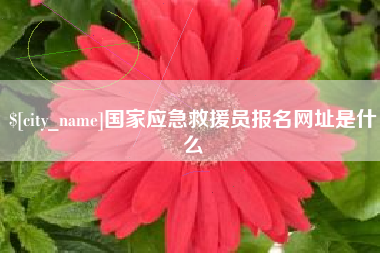 开平国家应急救援员报名网址是什么