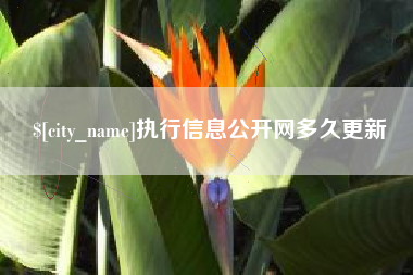 开平执行信息公开网多久更新