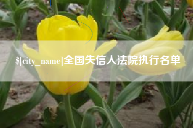 开平全国失信人法院执行名单