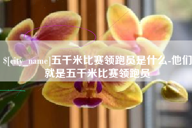 开平五千米比赛领跑员是什么-他们就是五千米比赛领跑员