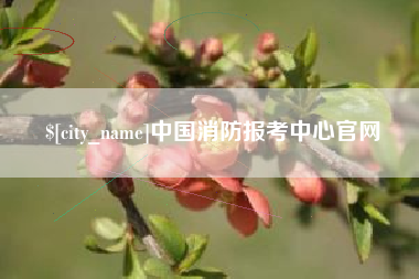 开平中国消防报考中心官网