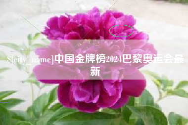 开平中国金牌榜2024巴黎奥运会最新