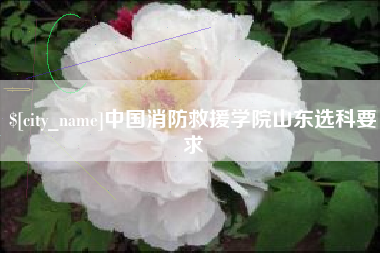 开平中国消防救援学院山东选科要求