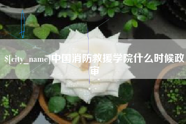 开平中国消防救援学院什么时候政审