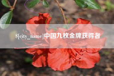 开平中国九枚金牌获得者