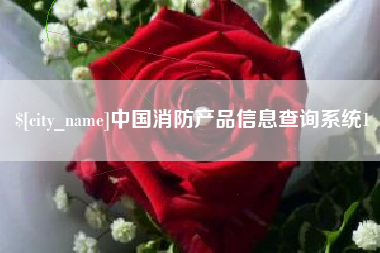 开平中国消防产品信息查询系统1