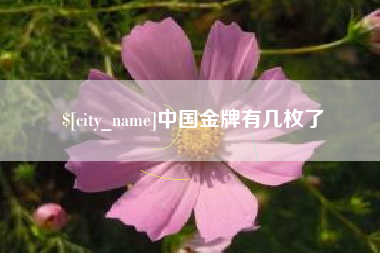 开平中国金牌有几枚了