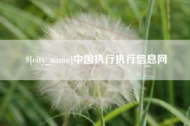 开平中国执行执行信息网