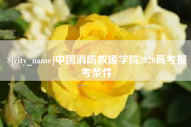 开平中国消防救援学院2020高考报考条件