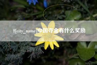 开平中国夺金有什么奖励