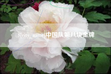 开平中国队第八块金牌