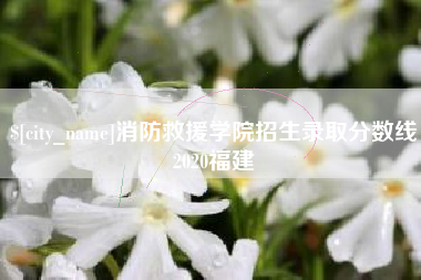 开平消防救援学院招生录取分数线2020福建