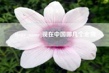 开平现在中国哪几个金牌