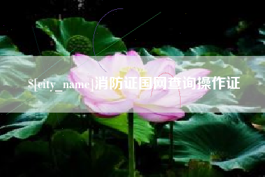 开平消防证国网查询操作证