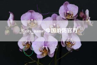 开平中国消防官方