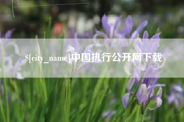 开平中国执行公开网下载