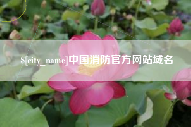 开平中国消防官方网站域名