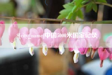 开平中国5000米国家记录