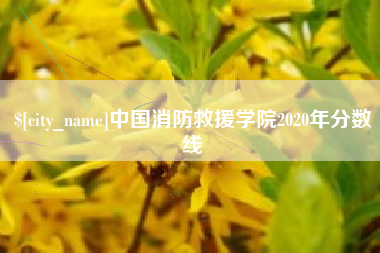 开平中国消防救援学院2020年分数线