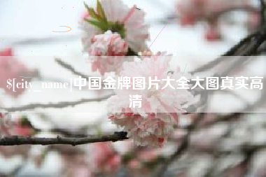 开平中国金牌图片大全大图真实高清