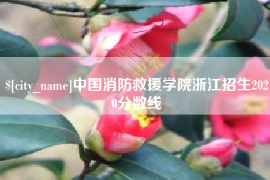 开平中国消防救援学院浙江招生2020分数线