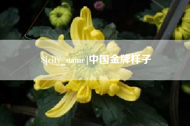 开平中国金牌样子