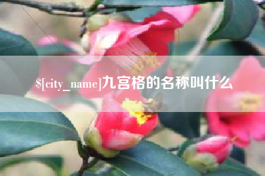 开平九宫格的名称叫什么