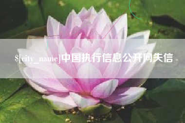 开平中国执行信息公开网失信