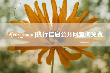 开平执行信息公开网查询免费